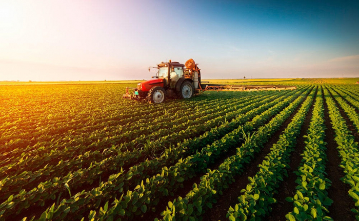  Ministerio de Agricultura de Azerbaiyán imparte capacitación sobre las nuevas normas de subvención del sector agrícola 