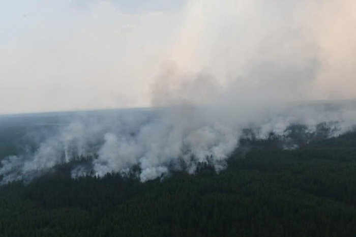 Russian military puts out wildfires on over 700,000 hectares in Siberia