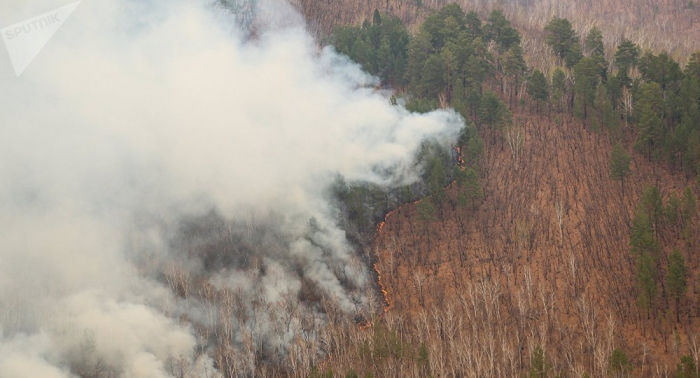   Sofocan más de 40 incendios forestales en Rusia en un día  