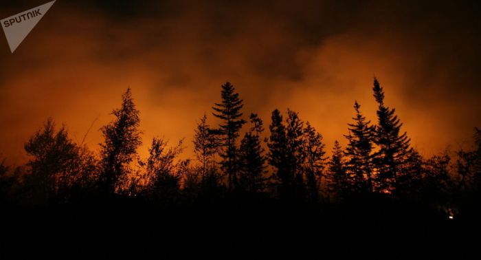 ¿Cuál es la causa principal de los incendios forestales en Europa?