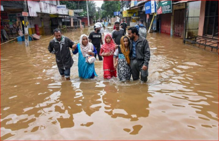 Elefantes son arrastrados por un río en medio de las mortales inundaciones que azotan la India-  VİDEO 