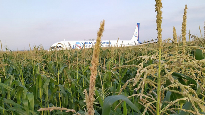 Resultado de imagen para AviÃ³n con mÃ¡s de 200 personas aterriza en campo de maÃ­z en Rusia