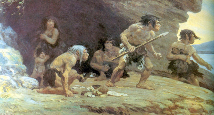     Forscher:   Intelligenz des Neandertalers fraglich  