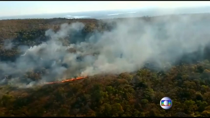   Brasiliens Regenwald steht in Flammen  