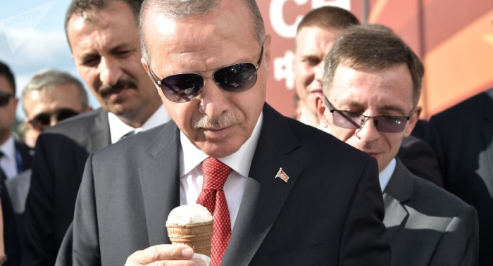   Am Rande eines Konflikts: Warum Erdogan dringend zu Putin reist  