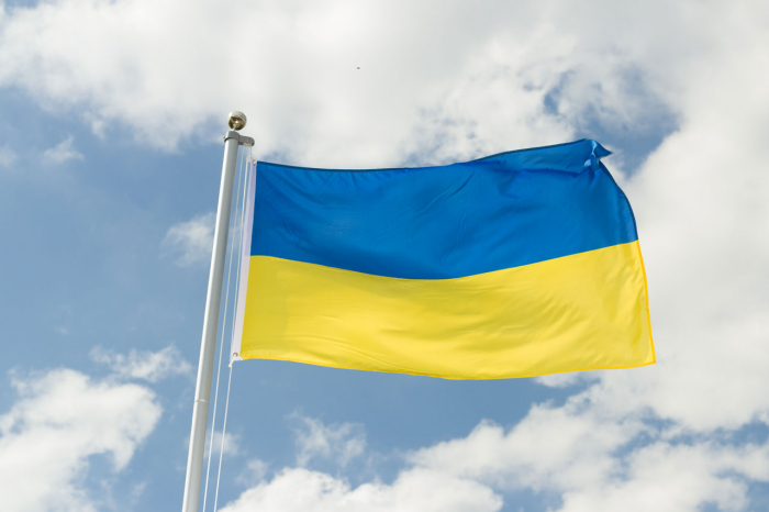     Ukraine:   un avocat de 35 ans nommé premier ministre  