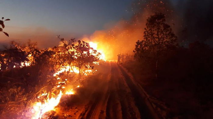 Bolsonaro verwirrt mit Waldbrandursache