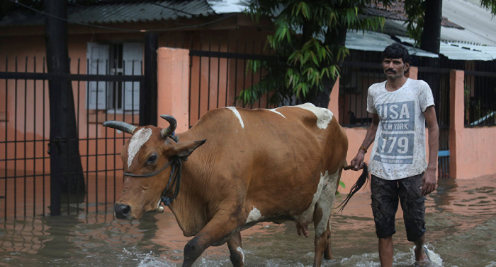 ارتفاع عدد ضحايا الأمطار الموسمية والفيضانات بالهند إلى 35 قتيلا