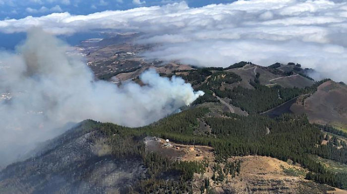 Waldbrand auf Gran Canaria bricht erneut aus