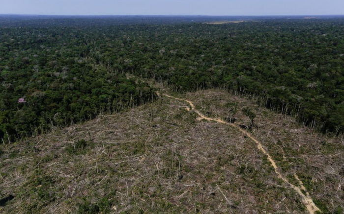 La déforestation au Brésil a bondi de 67% depuis janvier
