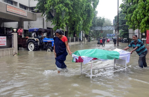 Inde: des crocodiles dans la ville