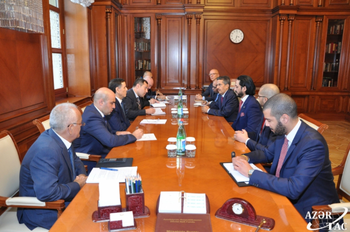  Azerbaijani Prime Minister meets with representatives of Saudi Arabian ACWA POWER company  