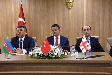 Baku, Ankara and Tbilisi sign hazelnut declaration