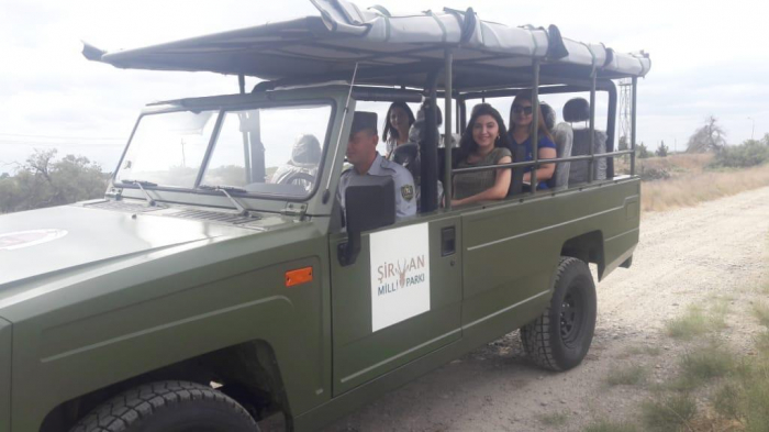 Şirvan milli parkına safari avtomobilləri verildi