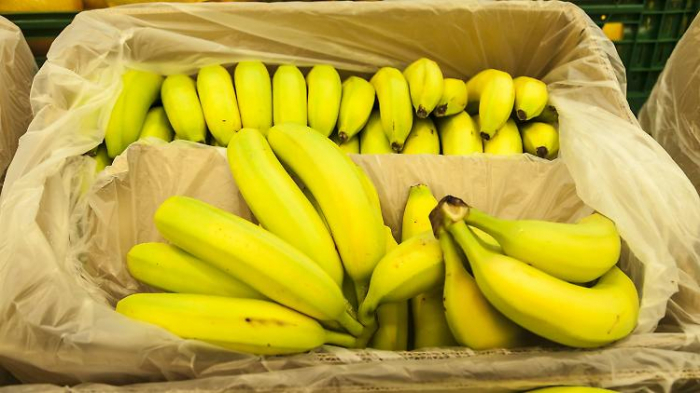 Supermarkt-Banane vom Aussterben bedroht