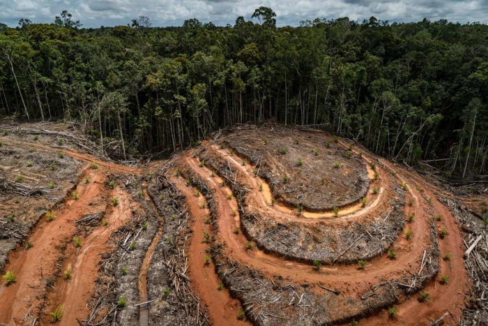 Amazonie: Le président brésilien promet de combattre la «déforestation illégale»