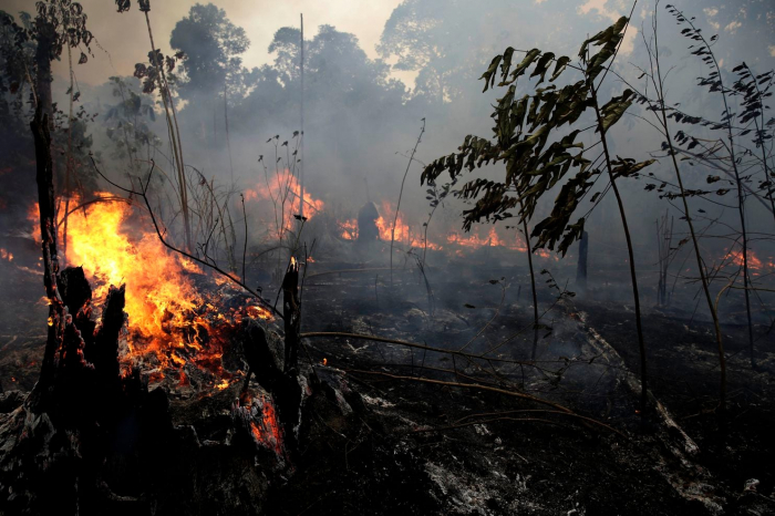   What happens to Earth if the Amazon rainforest is completely burned?-  iWONDER    