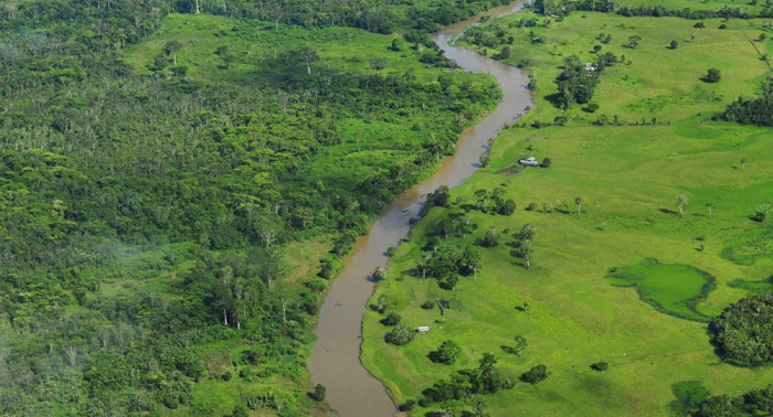 Presidentes de Colombia, Perú, Ecuador, Bolivia y Brasil se reúnen por la Amazonía