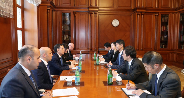  El primer ministro azerbaiyano se reúne con el viceministro de Relaciones Exteriores del Japón  