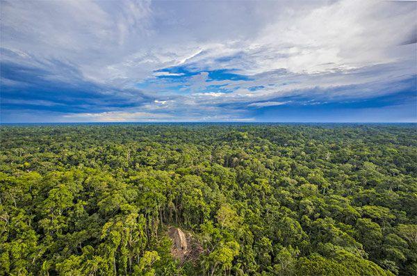 Amazon countries sign forest pact, promising to coordinate disaster responsen