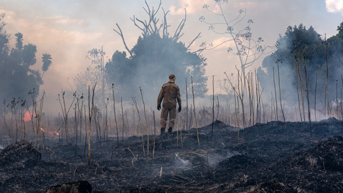   La Amazonia en llamas y el azote del huracán Dorian:   ¿de verdad estamos ante una catástrofe climática?