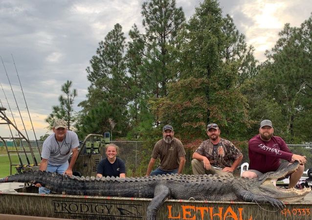   Über vier Meter langer Alligator in USA gefangen –   Fotos    