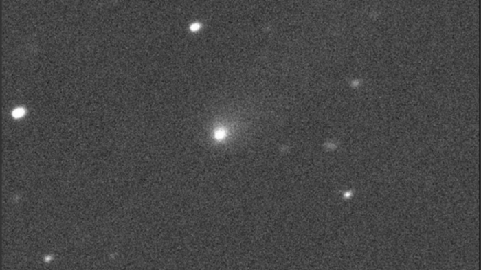 Newfound comet likely an 