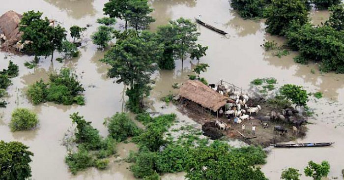   Heavy rains, floods leave over 200 dead in central India  