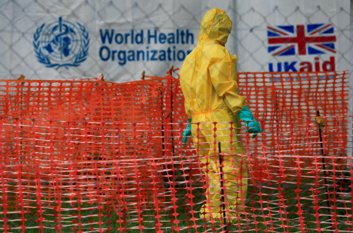   World at risk of pandemics that could kill millions, panel warns  
 