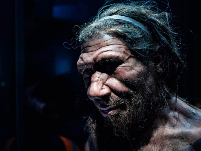 Common childhood illness may have killed off Neanderthals