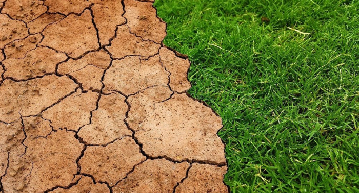 Ministra de Sanidad española urge a actuar para evitar más víctimas del cambio climático