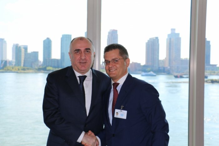   Canciller azerbaiyano se encuentra con el presidente del CIRSD  
