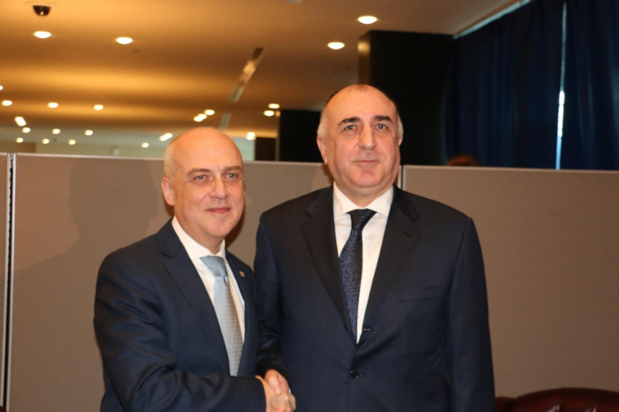   Azerbaijani, Georgian FMs discuss border delimitation issue  