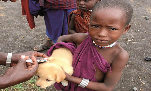Rabies kills some 1,500 people in Tanzania annually