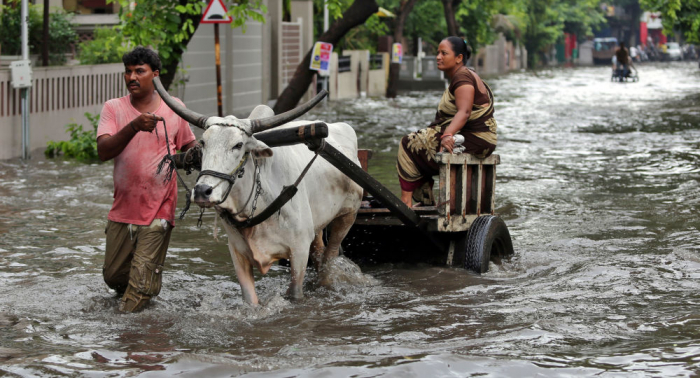   Más de un centenar de muertos a causa de fuertes lluvias en la India  