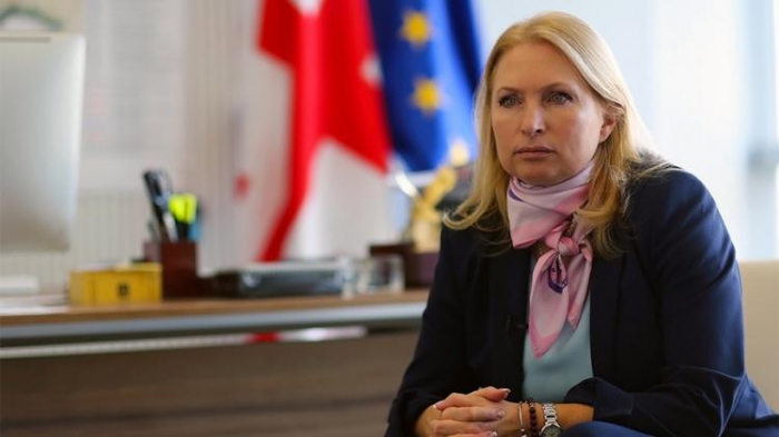  Georgian Minister of Economy to visit Azerbaijan 