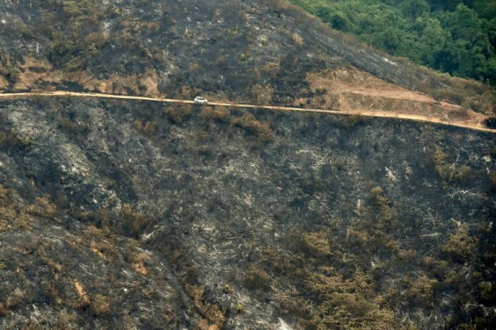   Colombie:   plus de 2.200 feux de forêt en 2019, nombre le plus élevé depuis 20 ans