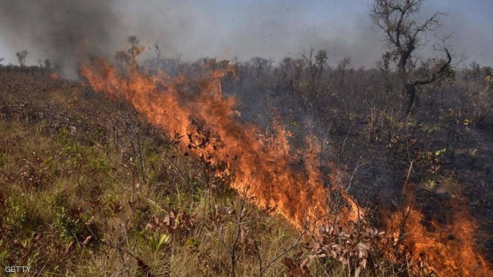 حرائق الغابات في بوليفيا تلتهم ملايين الحيوانات والهكتارات