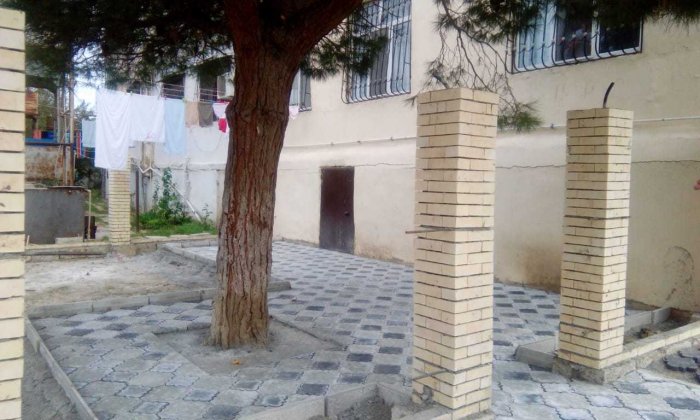 Nazirlik ağacın dibini betonlayanı cərimələdi