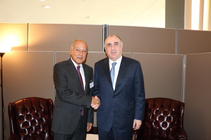  Azerbaijani FM meets with Secretary General of the League of Arab States 