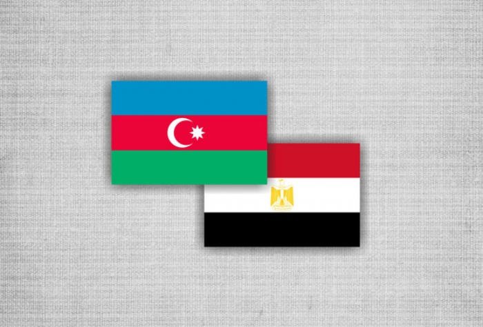 Egyptian FM to visit Azerbaijan