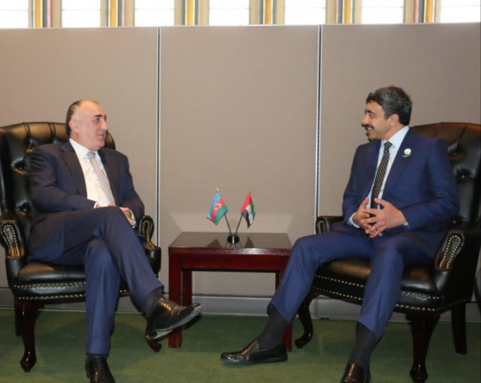   Azerbaijani FM meets with his colleague from the UAE  