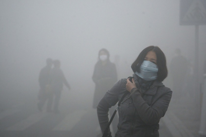   How does air pollution affect humans?  
