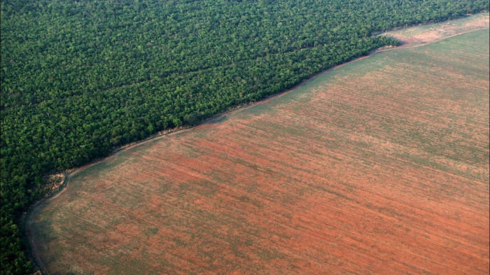 Amazonie: la déforestation alimentée par l