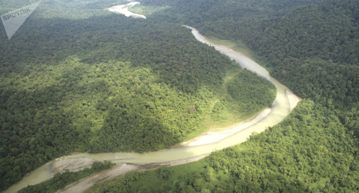 La déforestation en Amazonie a augmenté de 93% entre janvier et septembre