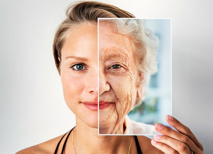   Why we age – new theories gaining ground-  iWONDER    