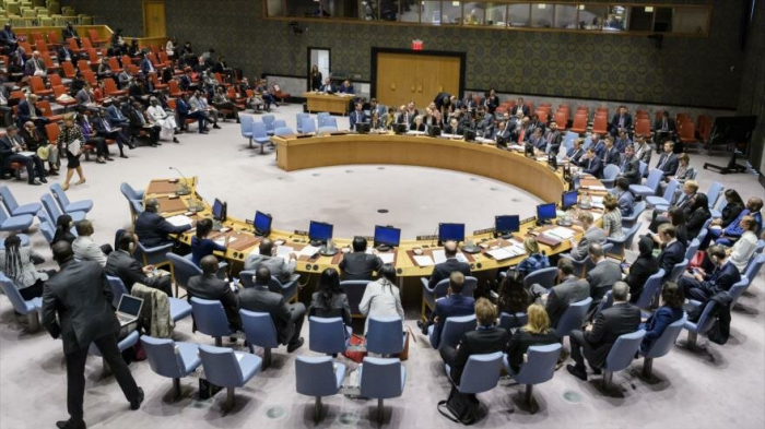 Consejo de Seguridad no logra consensuar sobre ataque turco a Siria