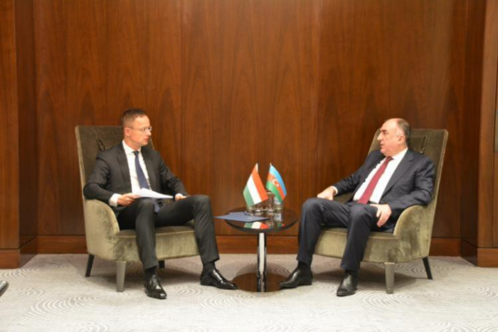   Außenminister Aserbaidschans und Ungarns erörtern Syrienkonflikt  
