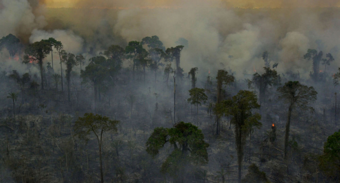 Fuerzas Armadas de Brasil combatieron 1.800 focos de incendio en Amazonía desde agosto