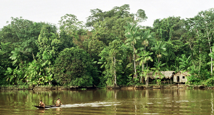 Países amazónicos se reúnen para implementar convenio para la conservación de la selva